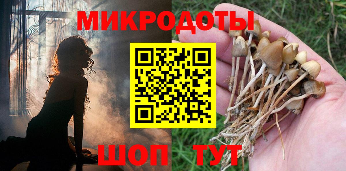 Зерноград  Галлюциногенные грибы мицелий  Вход с VPN 